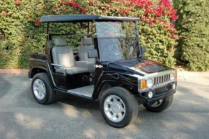 affordable golf cart rental, golf cart rent manhatton
